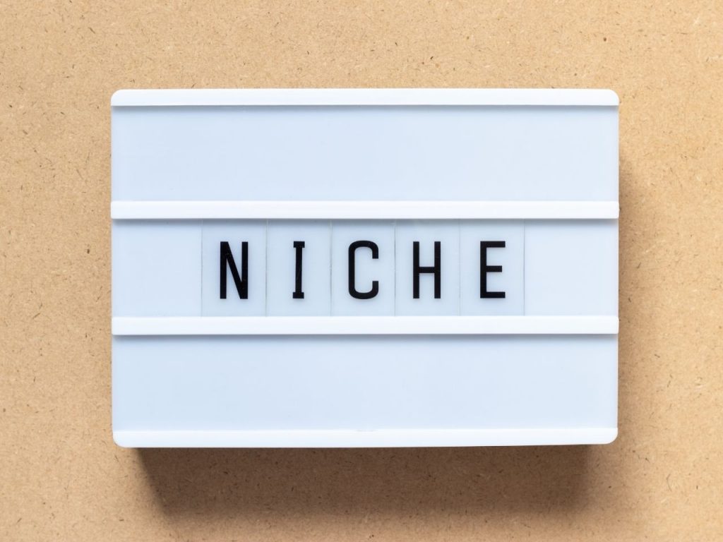 influencer guide niche